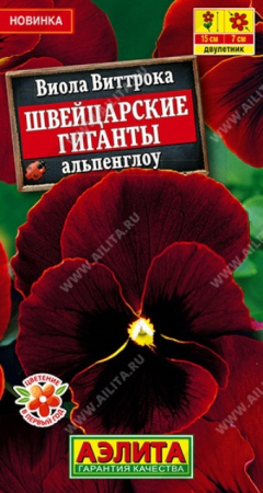 Виола Швейцарские гиганты Альпенглоу (Аэлита) - Сезон у Дачи