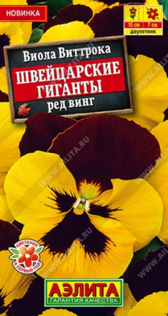 Виола Швейцарские гиганты Ред Винг (Аэлита) - Сезон у Дачи