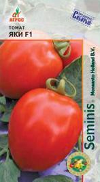 Томат Яки F1 - Сезон у Дачи