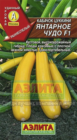 Кабачок Янтарное чудо F1 5 шт (Аэлита) - Сезон у Дачи