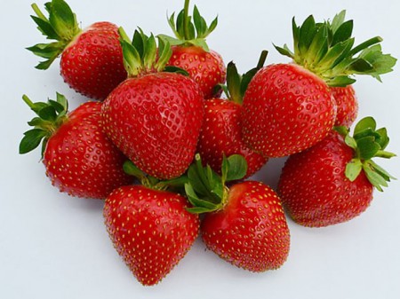 Земляника Эвис Делайт (ремонтантная) - Сезон у Дачи