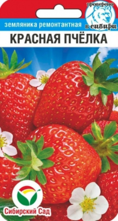 Земляника Красная пчелка 10шт (Сиб Сад) - Сезон у Дачи