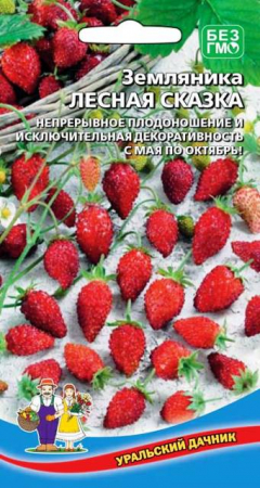 Земляника Лесная сказка (УД) - Сезон у Дачи