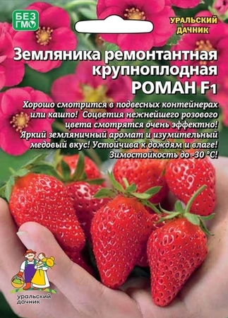 Земляника Роман F1 (УД) - Сезон у Дачи