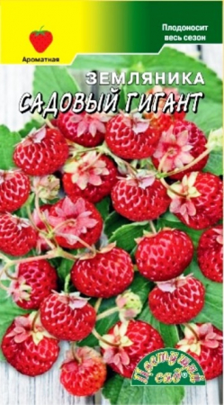 Земляника Садовый Гигант ремонтантная альпийская 0,03гр (ЦС) - Сезон у Дачи