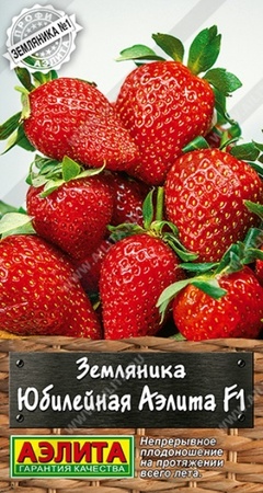 Земляника Юбилейная Аэлита F1 (Аэлита) - Сезон у Дачи