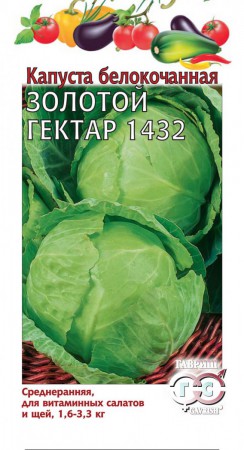 Капуста б/к Золотой Гектар 1432 (Гавриш) - Сезон у Дачи
